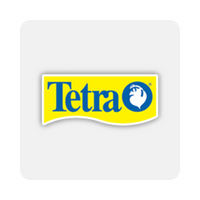 Tetra Fish