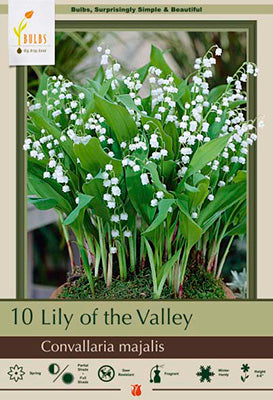 Netherland Bulb Company Lily of the Valley - 10 Bare Roots