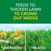 Scotts® Turf Builder® Weed & Feed