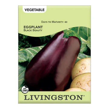 Livingston Eggplant Black Beauty