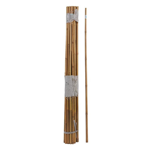 SUPER BAMBOO POLE - Mt. Sinai, NY - Agway of Port Jefferson