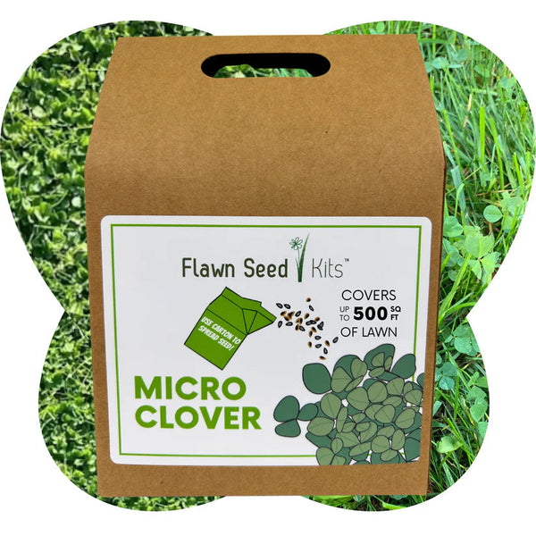 micro flower seeds Flawn Seed Kits Micro Clover Eco-Friendly Seeding Kit - Mt. Sinai, NY