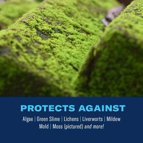 BioAdvanced 2-in-1 Moss & Algae Killer & Cleaner