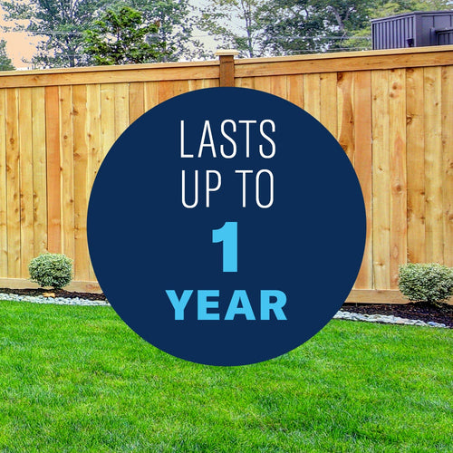 BioAdvanced 2-in-1 Moss & Algae Killer & Cleaner