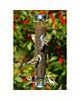 Droll Yankees Ring Pull Tube Finch Feeder