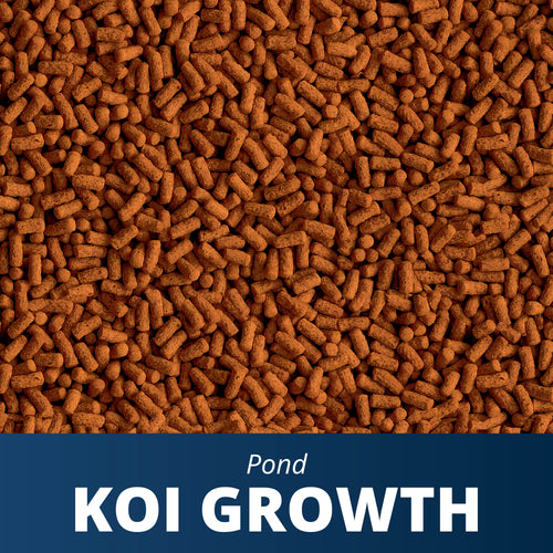 Tetra Koi Growth Food
