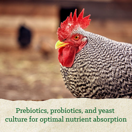 Nutrena® NatureWise® Hearty Hen® 18% Soy-Free Protein Pellet