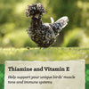 NatureWise® 22% Protein Silkie & Ornamental Layer Clean Crumb™ Poultry Feed