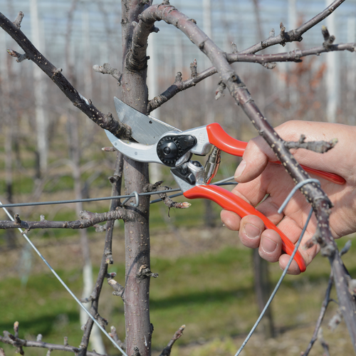 Felco 2 Pruner