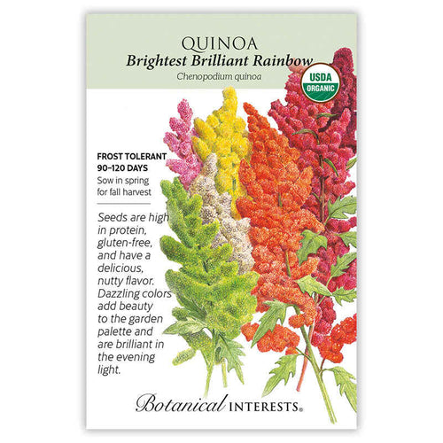 Botanical Interests Brightest Brilliant Rainbow Quinoa Seeds