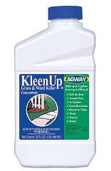 AGWAY KLEENUP GRASS & WEED KILLER CONCENTRATE 1 QT. - Mt. Sinai, NY