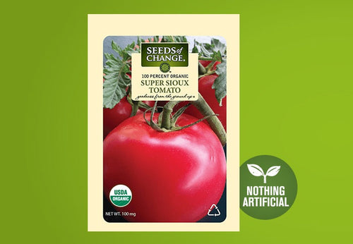SEEDS OF CHANGE™ ORGANIC SUPER SIOUX TOMATO SEEDS