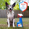 Adams Flea and Tick Spray for Cats and Dogs