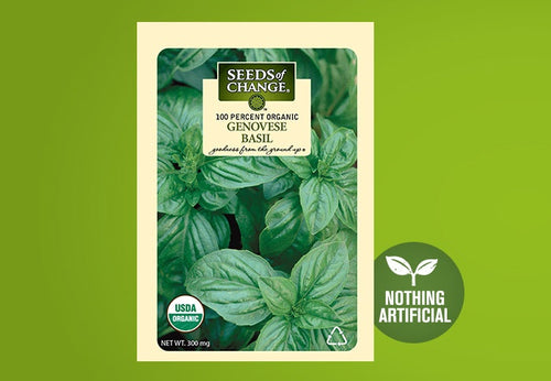 SEEDS OF CHANGE ORGANIC GENOVESE BASIL SEEDS Mt. Sinai NY