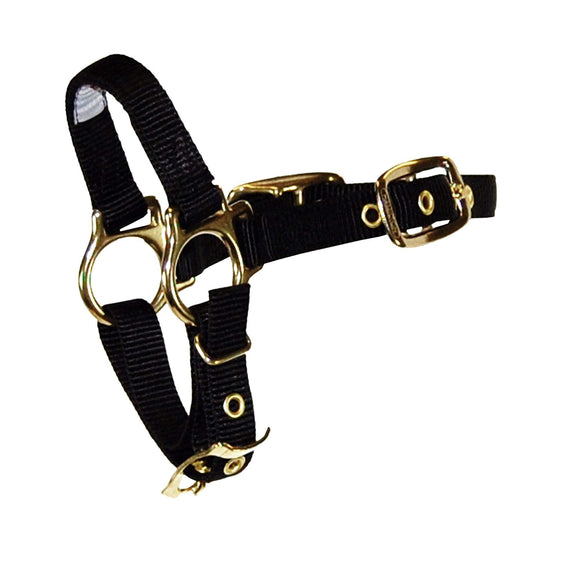 Hamilton Deluxe Halter with Adjustable Chin Strap