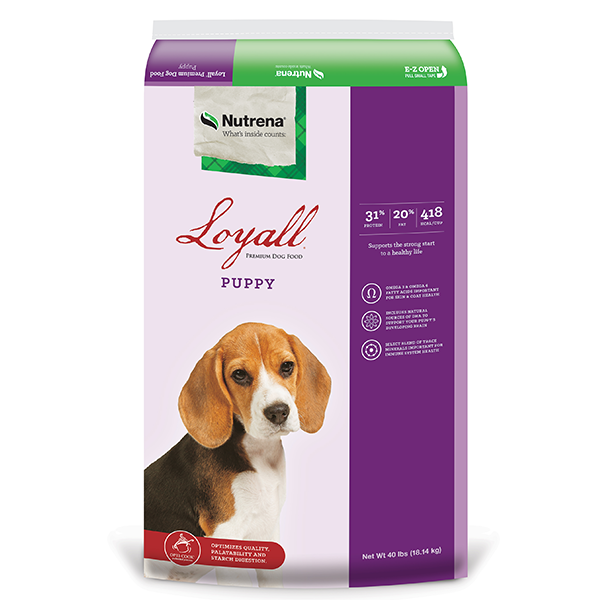 Loyall puppy deals food