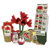Netherland Bulb Company HG Essentials Amaryllis Holiday Gift Growing Kit