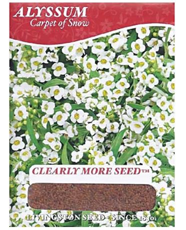 Livingston Seed Alyssum Carpet of Snow