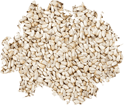 D & D Wild Delight Safflower Seed