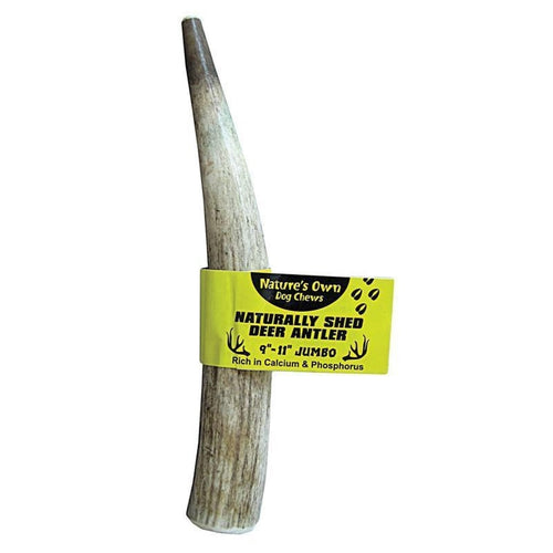 Nature's Own Naturally Shed Antler Dog Chew